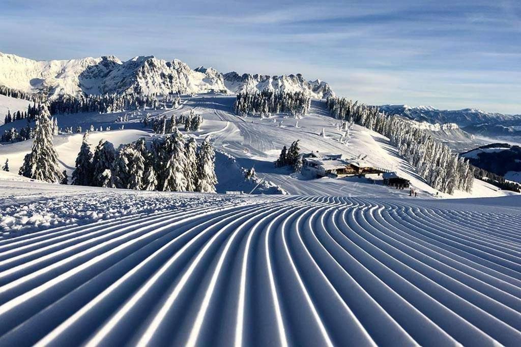 Alpine Brixen *