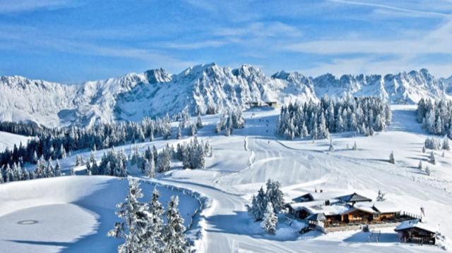 Apartment Alpine Brixen *